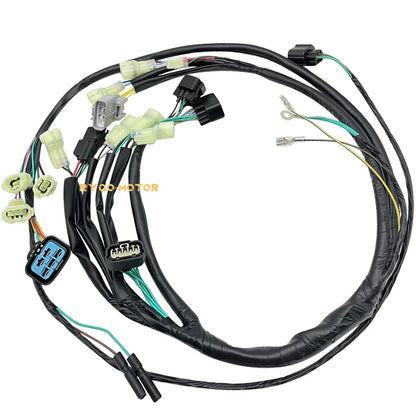Wire Harness 2x4 for Honda Sportrax 450 TRX450R (2004–2005)