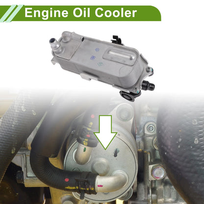 Engine Oil Cooler for BMW 320i XDrive (2013-2018)
