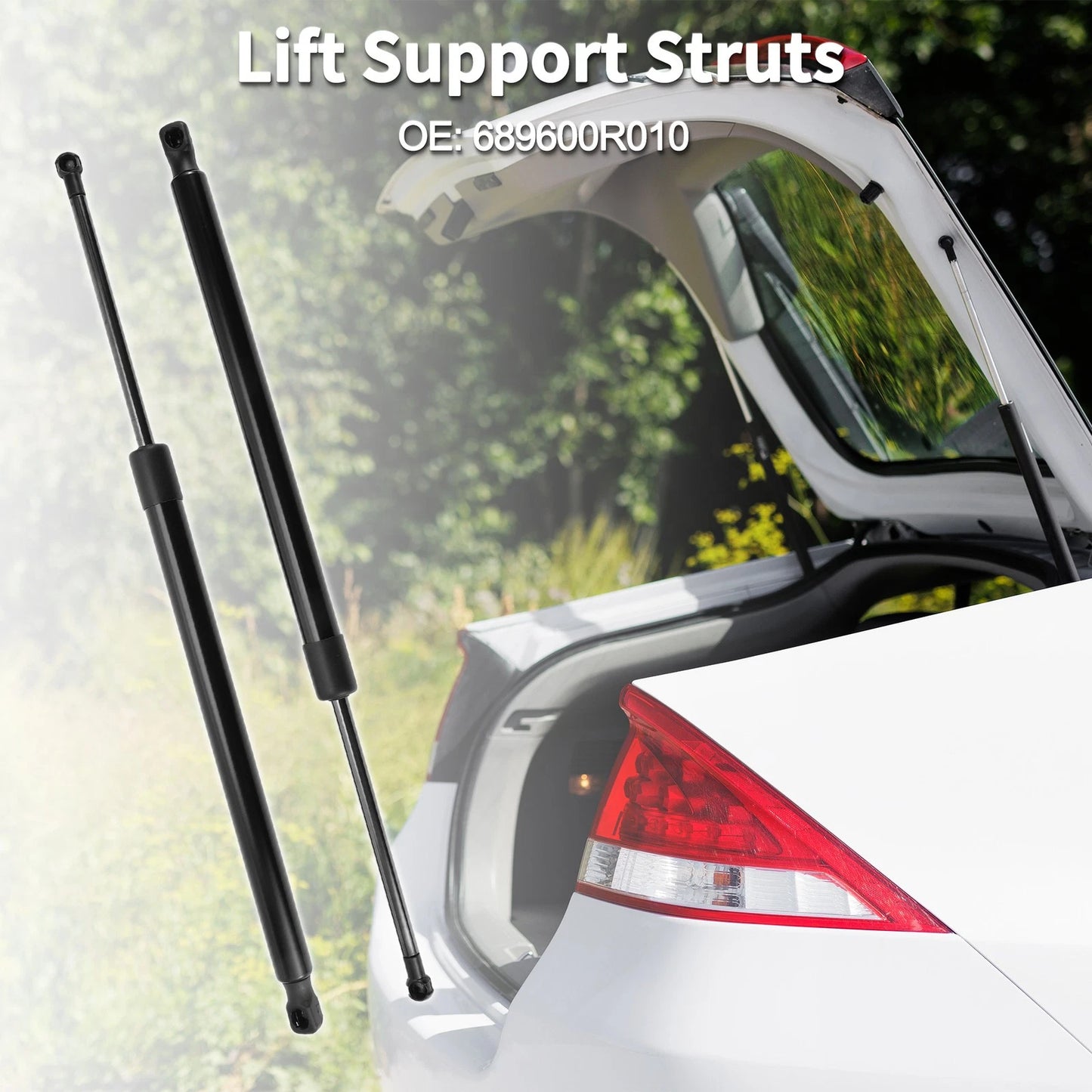 Rear Hatch Lift Supports for Toyota RAV4 (2013-2018)