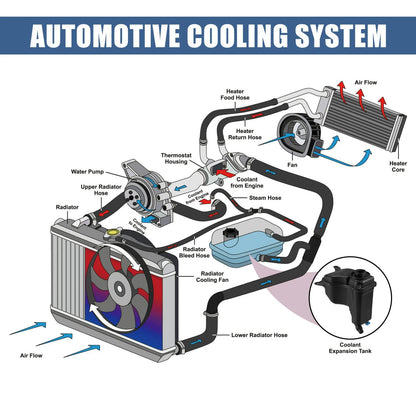 Coolant Reservoir Tank for BMW 330i, X1, 335i, 135i, 323i, 328i (2006-2013)