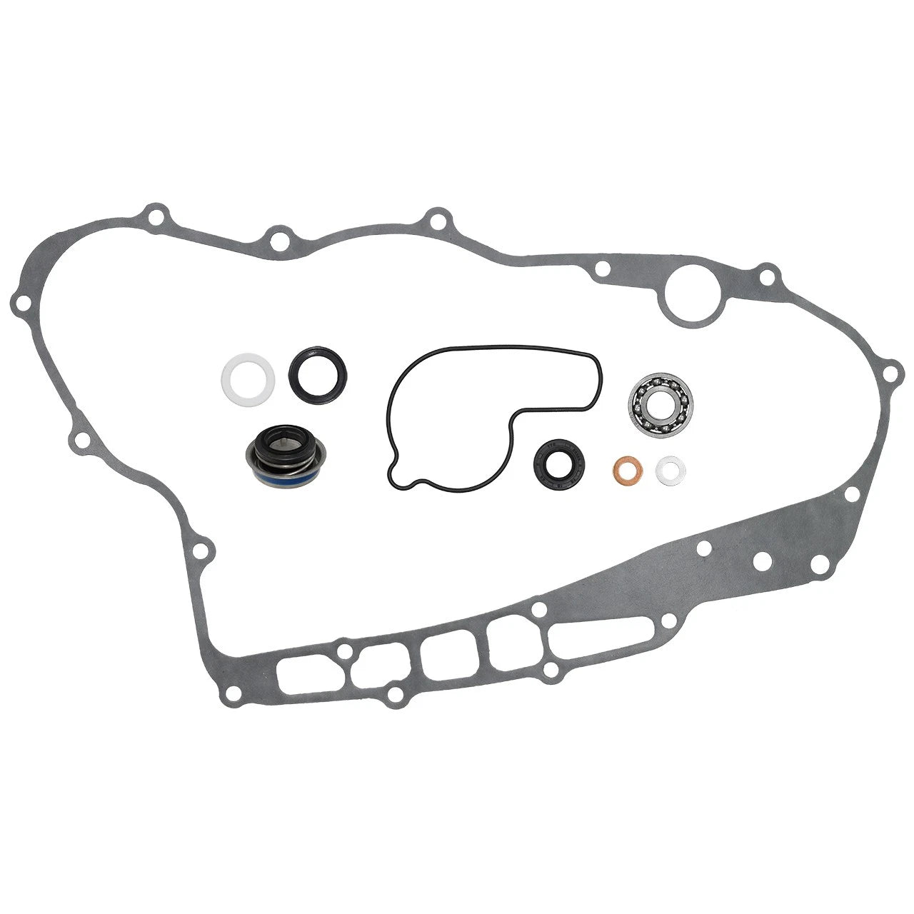 Water Pump Repair Honda TRX450R Sportrax (2004–2005)