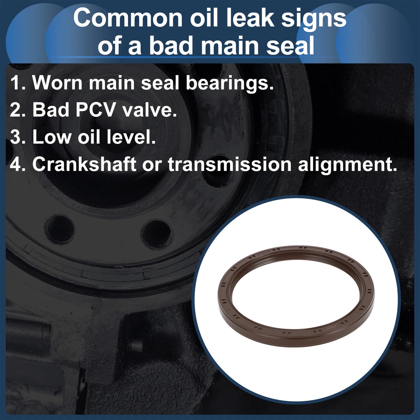Rear Crankshaft Oil Seal for Toyota 4Runner, Pickup, Sienna (1996-2023)