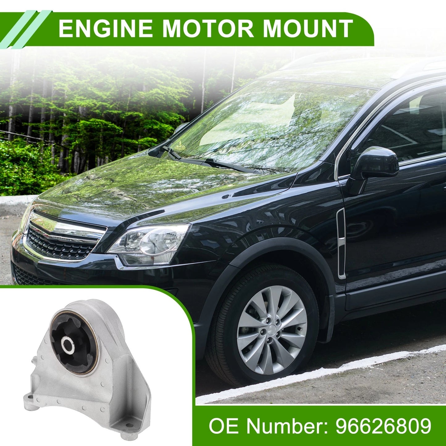 Engine Mount 2.4L MT for Chevrolet Captiva (2008 - 2011)
