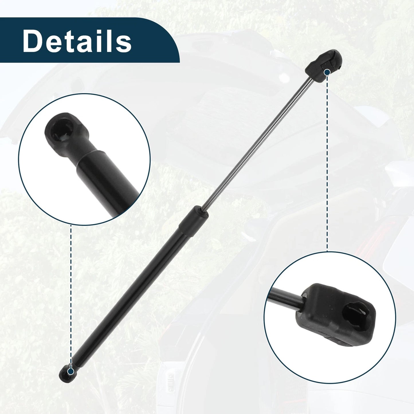 Rear Window Lift Supports Struts for Toyota Highlander (2001-2023)