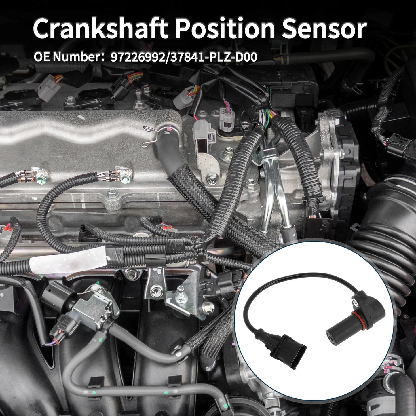 Crankshaft Position Sensor for Honda Civic 1.7 CTDi (2002-2005) 1 Pc
