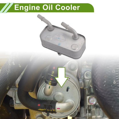 Engine Oil Cooler for BMW 540i (1997-2003)