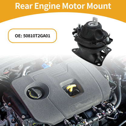 Engine Mount for Honda 9th Generation CR-V 2015-2016 3.0L