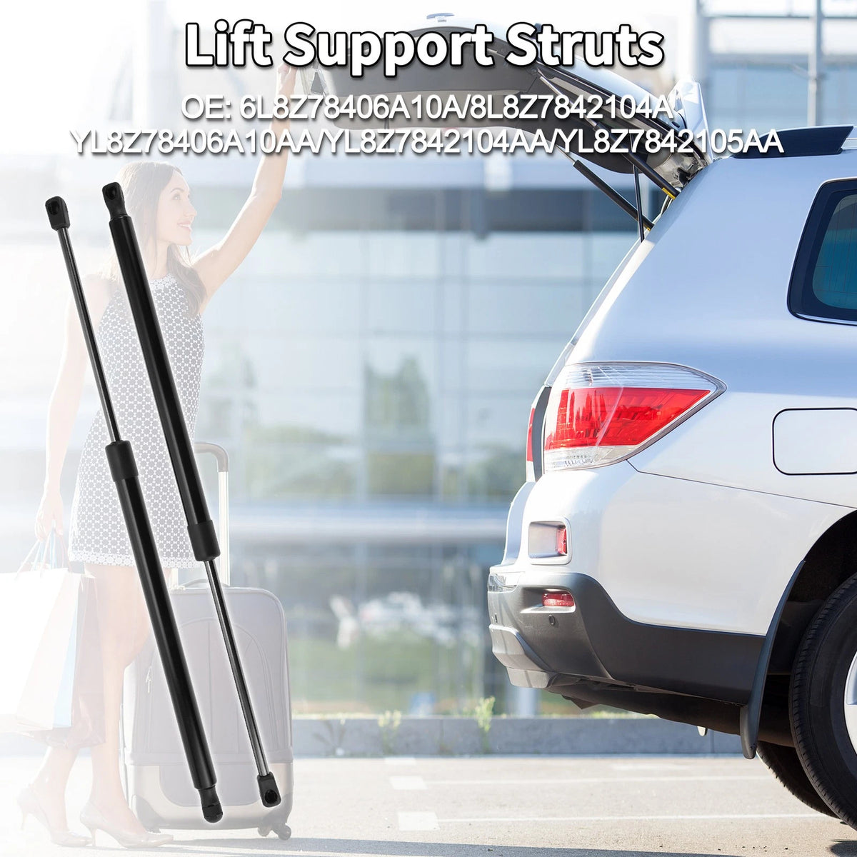 Rear Hatch Lift Supports for Ford Escape (2001-2007)