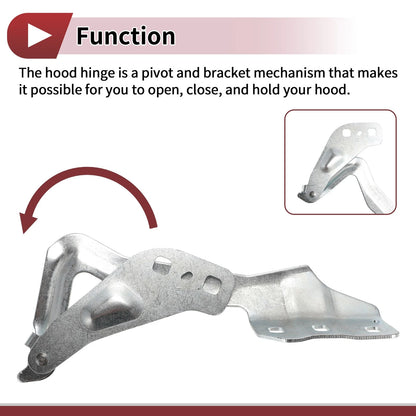 Hood Hinges 1 Pair for Ford Police Responder Hybrid (2019-2020)