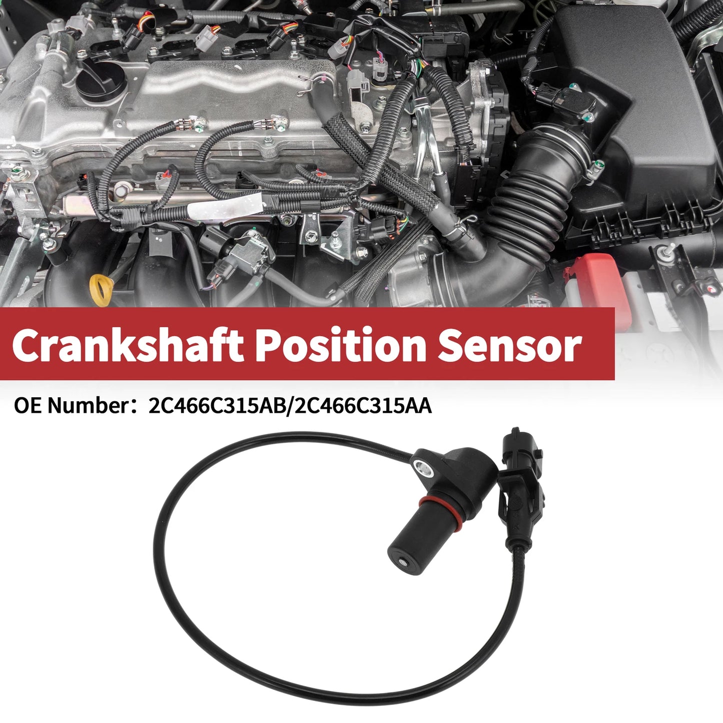 Crankshaft Position Sensor for Ford (2 x 2000-2005) Black Metal Plastic