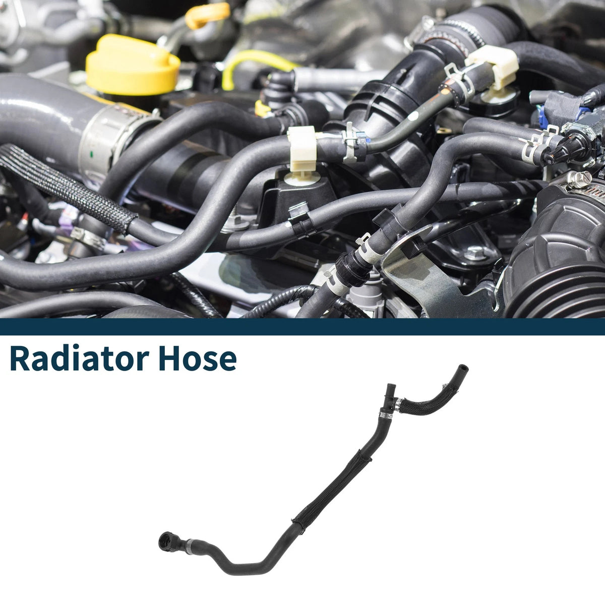 Radiator Hose for BMW 750i xDrive (2010-2015) Coolant Hose