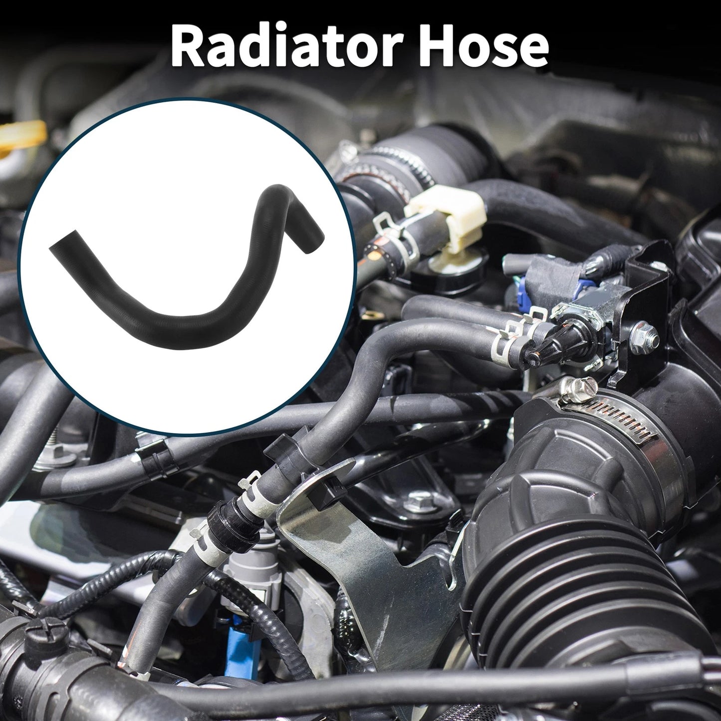 Radiator Hose Lower Radiator Hose for Toyota Camry (2018–2023)
