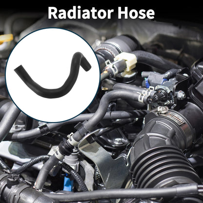 Radiator Hose Lower Radiator Hose for Toyota Camry (2018–2023)