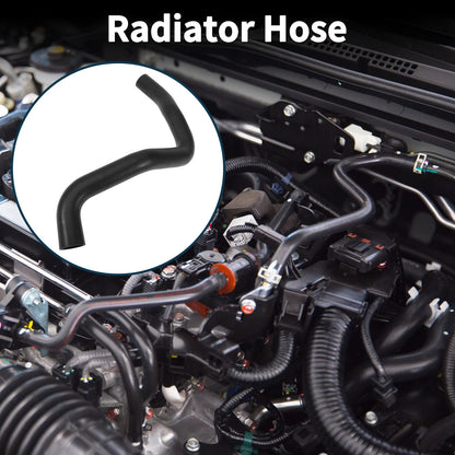 Radiator Hose Water Tank Drain Pipe for Ford Taurus (2010-2019) - 1 x Rubber