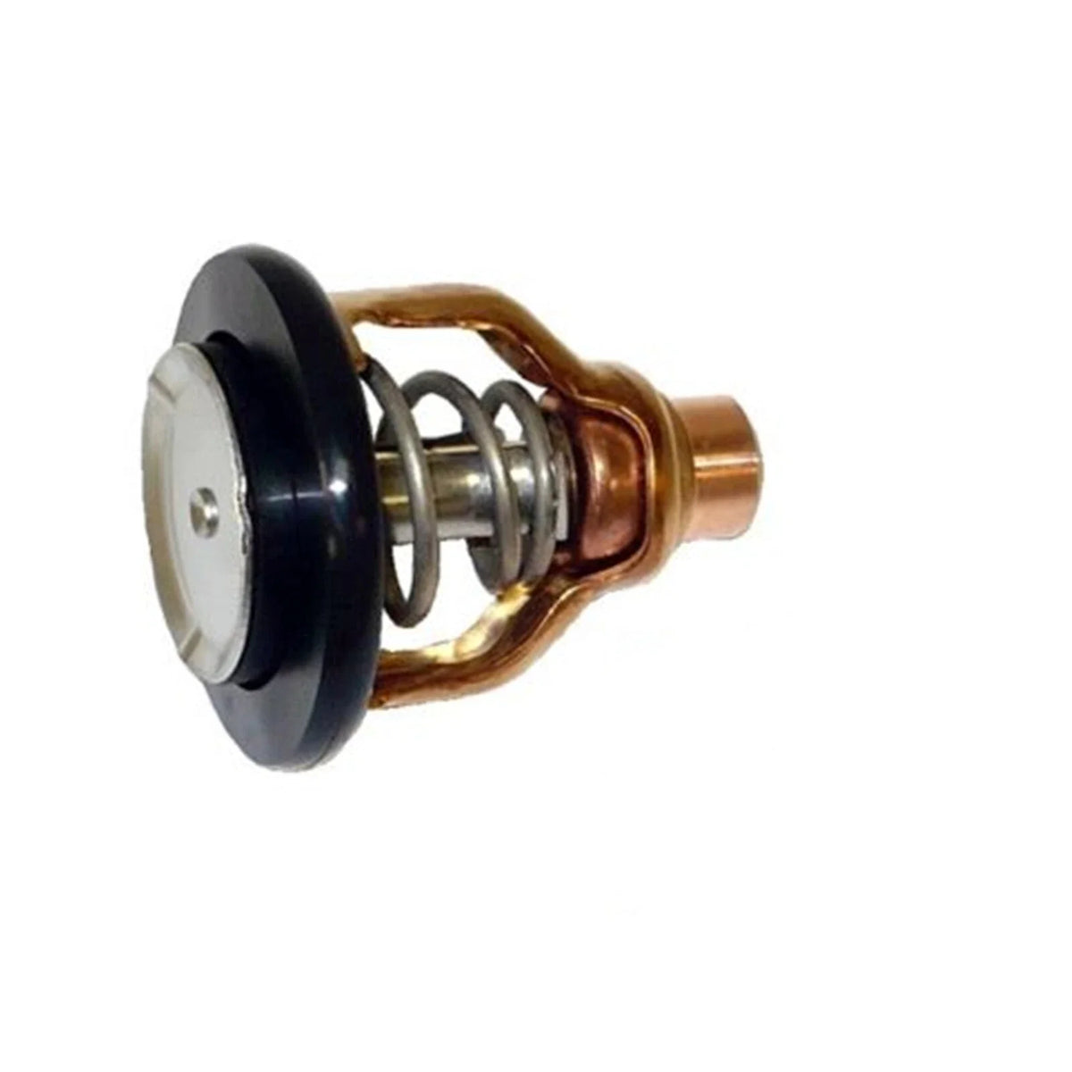 Thermostat Assy for Yamaha F300/F350HP 4-Stroke Outboard Engine