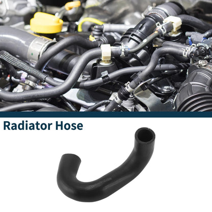 Lower Radiator Hose for Toyota Crown (2007-2013)