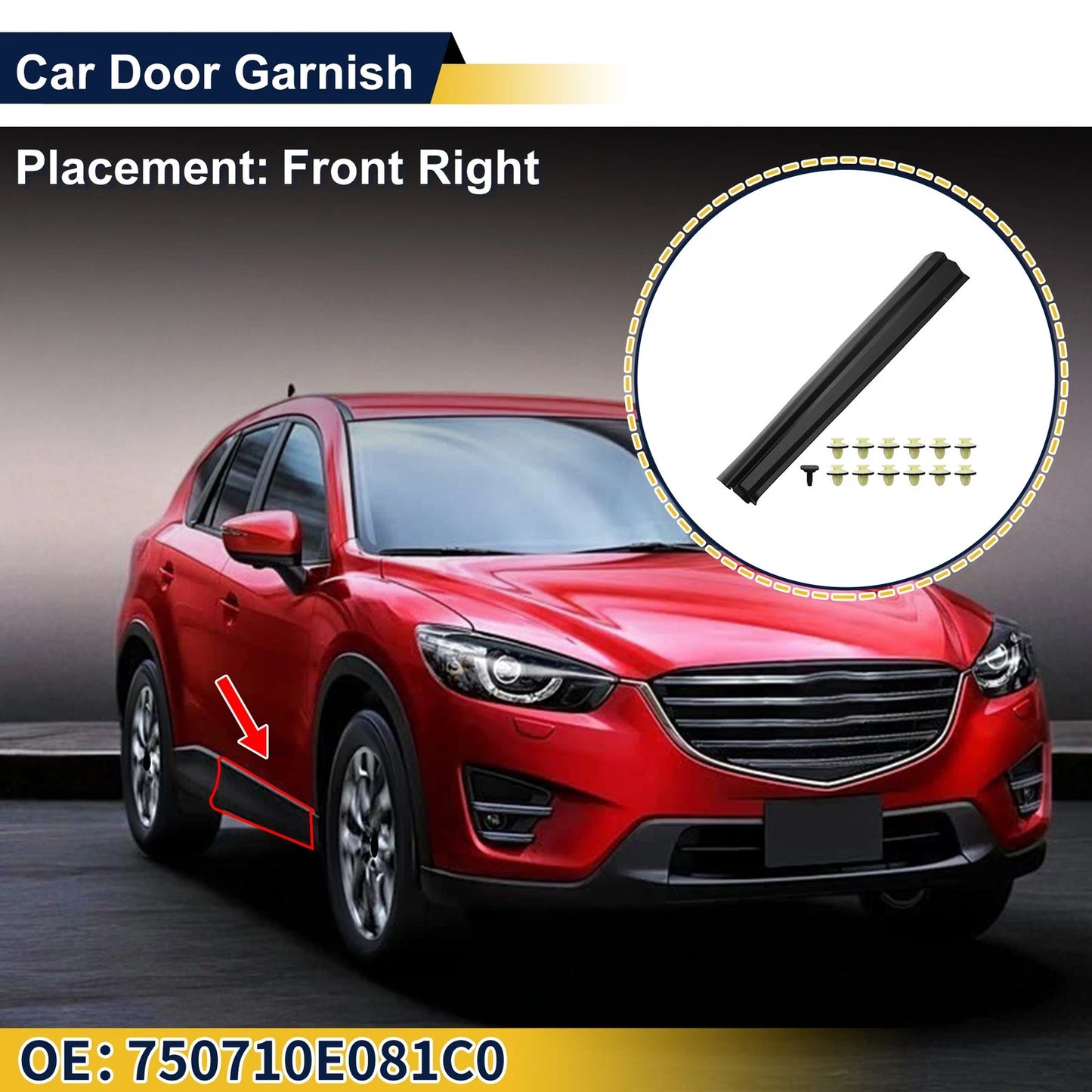 Door Side Lower Trim & Garnish Trim for Make Model