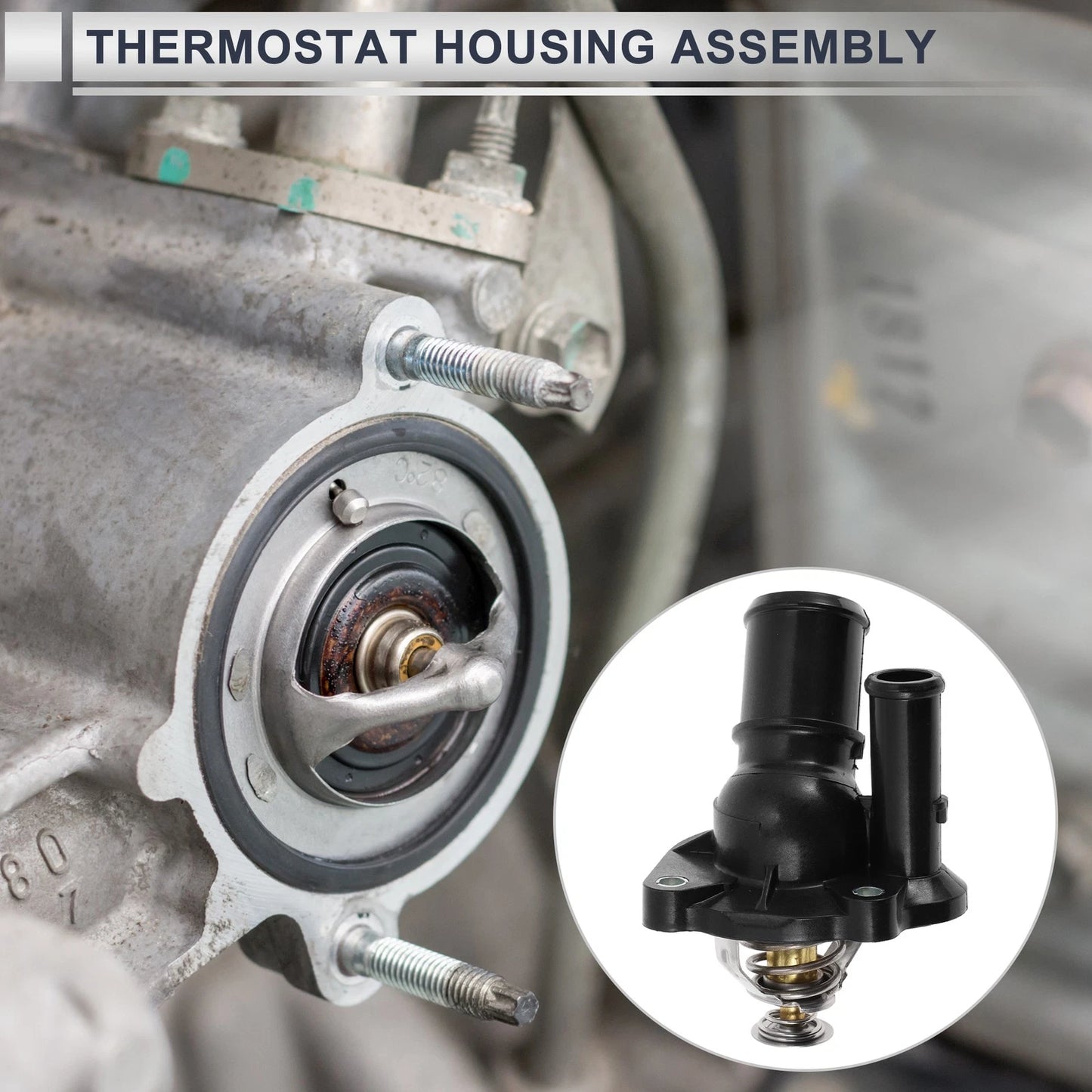 Engine Coolant Thermostat Housing for Ford Focus (2003-2011)