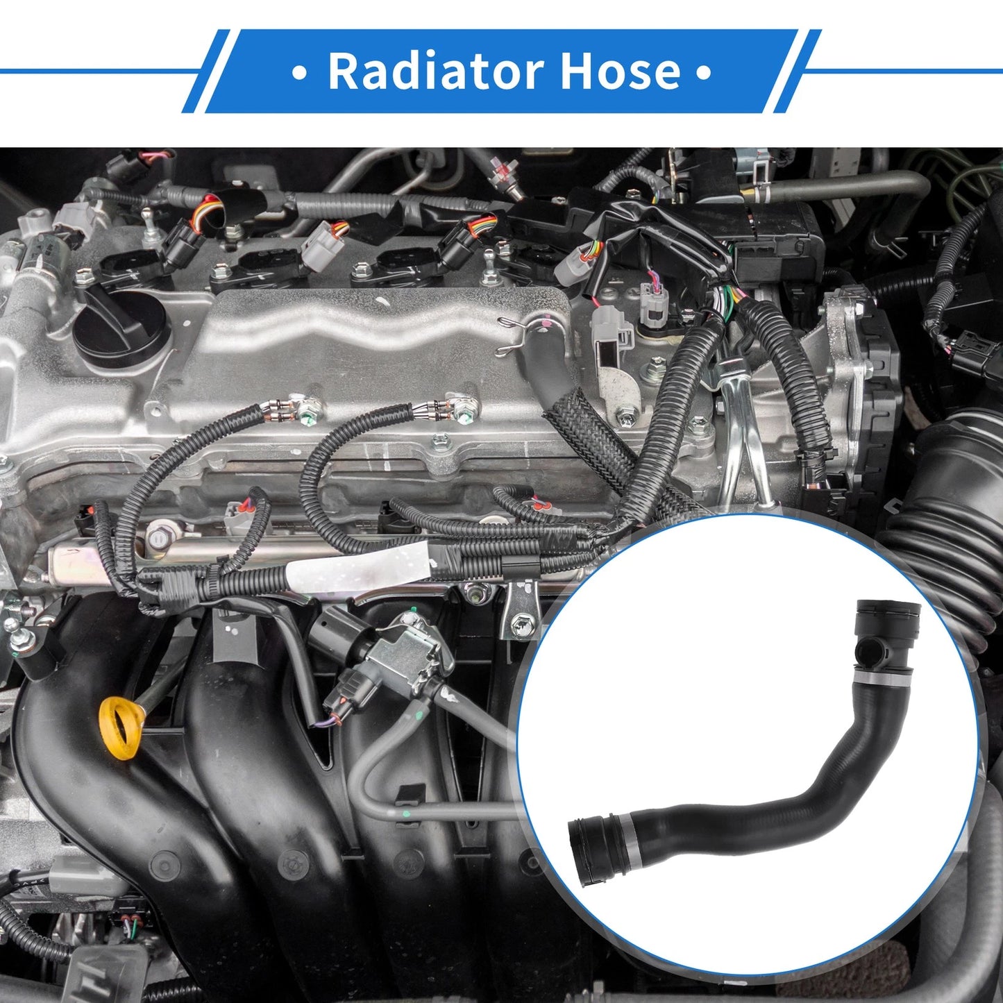 Radiator Hose for BMW X5 Petrol (2006-2008)