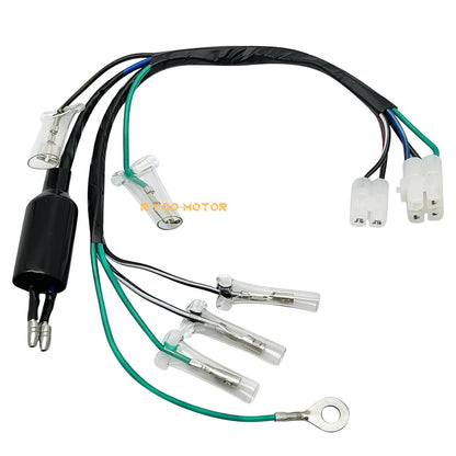 Wiring Harness for Honda CRF100F/CRF80F (2004–2009)
