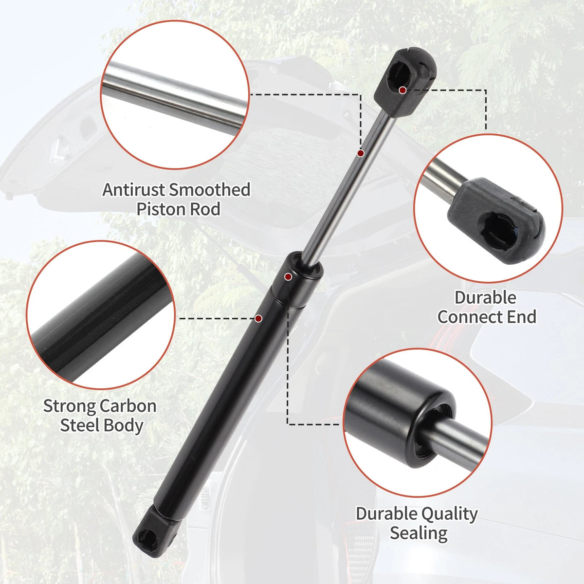 Rear Hatch Lift Supports for Ford Five Hundred Limited (2005-2007)