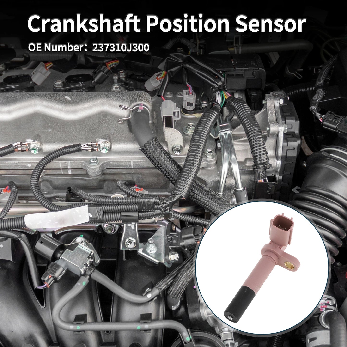 Crankshaft Position Sensor for Nissan Sentra SE 2.0 (1998-2001) 1 Pc
