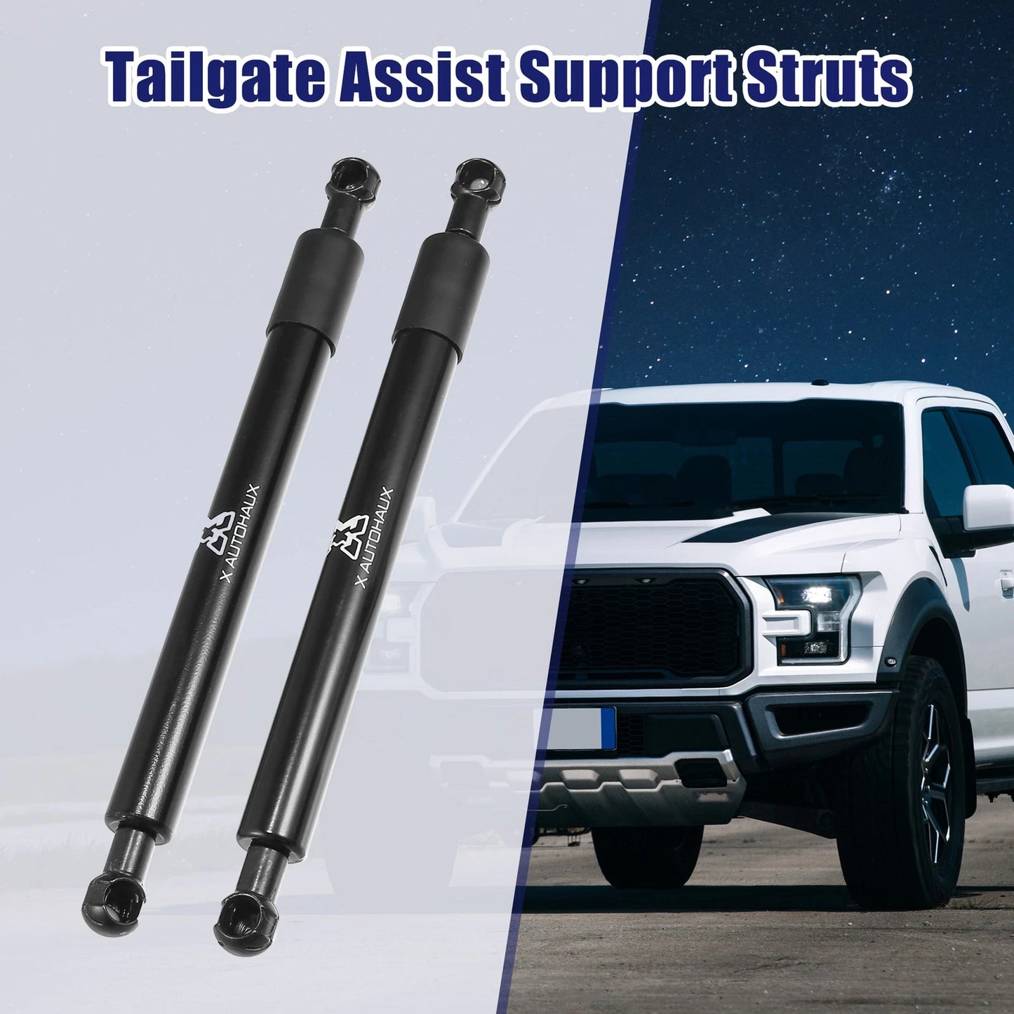 Rear Tailgate Lift Support Struts for Ford F150 (2015-2020)