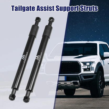 Rear Tailgate Lift Support Struts for Ford F150 (2015-2020)