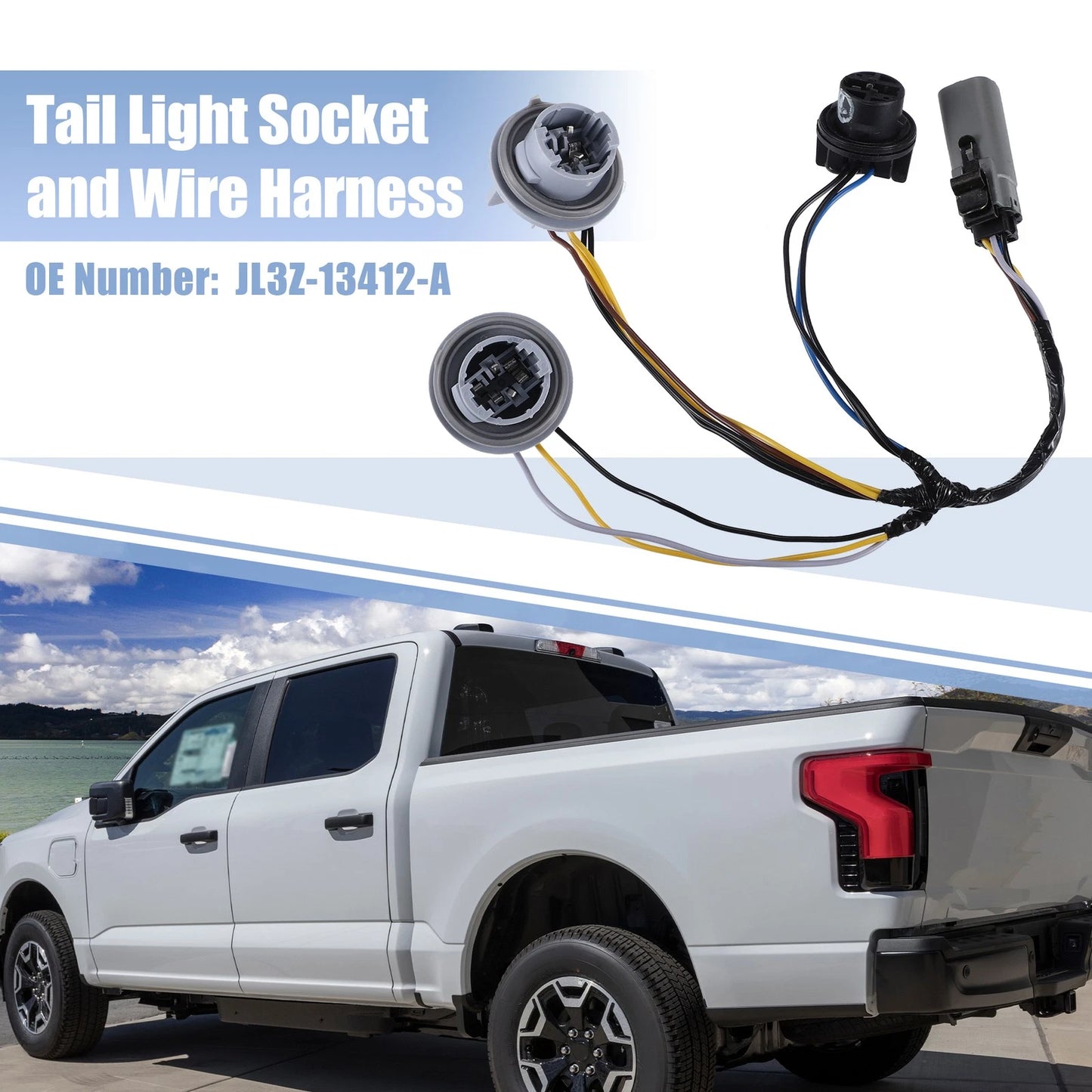 Tail Light Socket & Wire Harness for Ford F150 (2018)