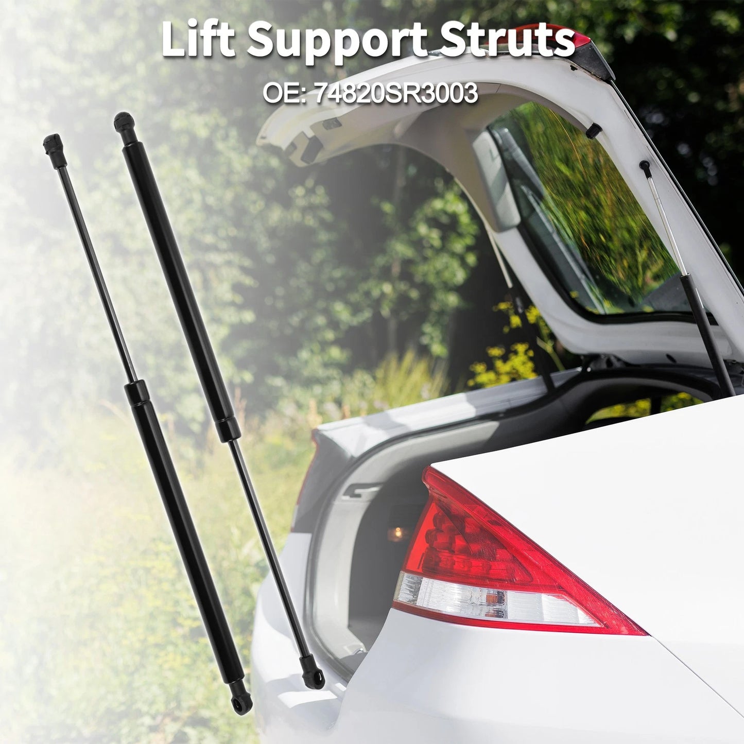Rear Hatch Lift Supports for Honda Civic Hatchback (2016-2023)