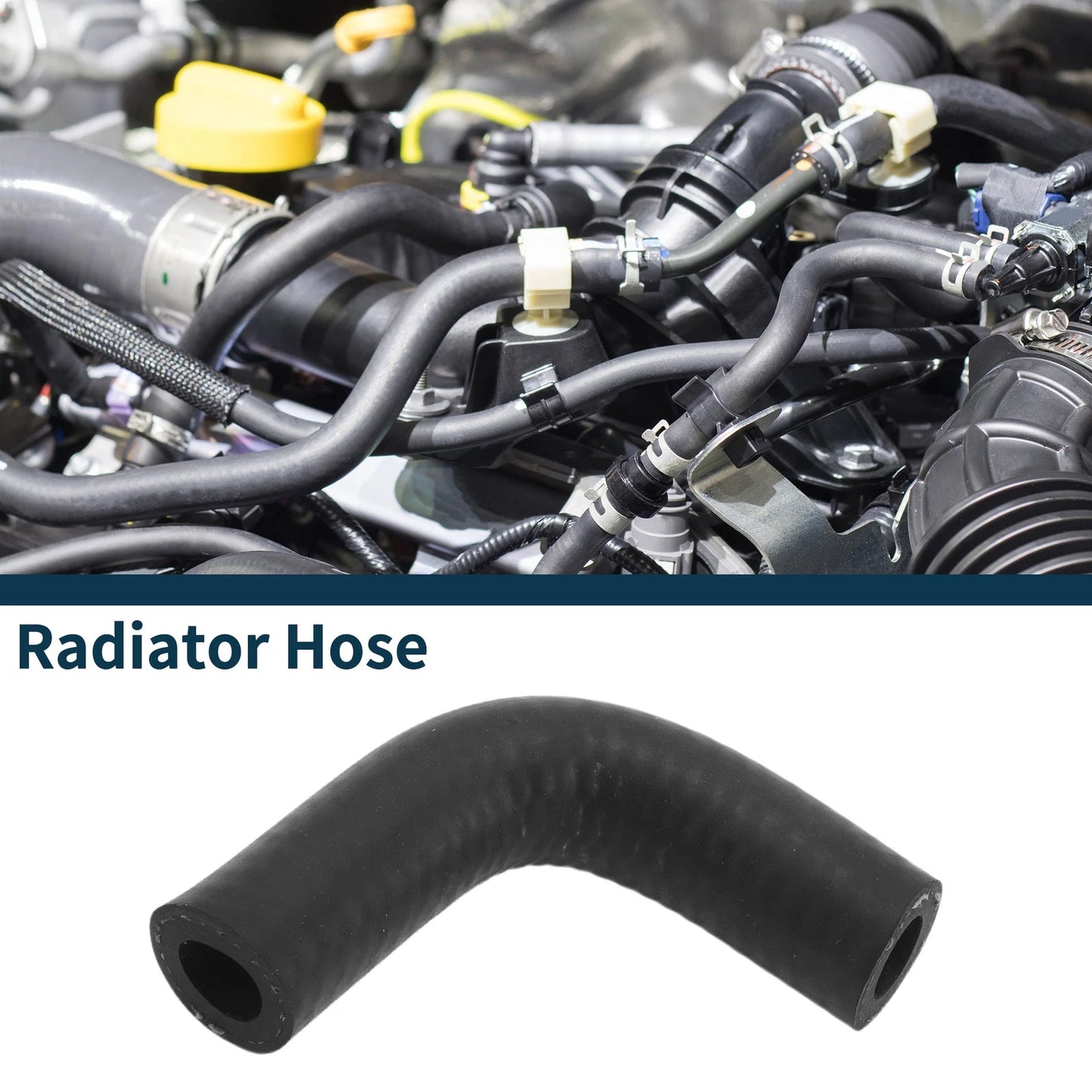 Radiator Hose 3.1L for Buick Century (2003–2005)