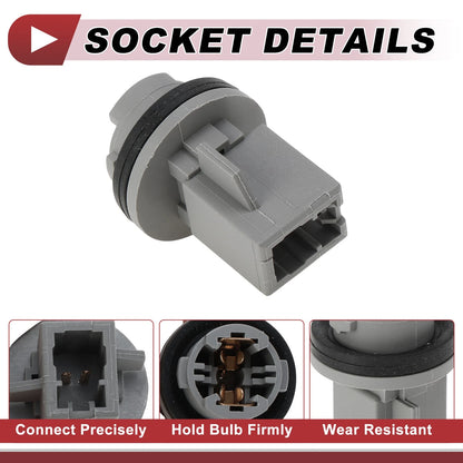 License Plate Light Socket for Hyundai Elantra 2001-2003 (1 x Socket)