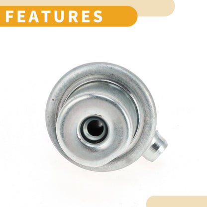 Fuel Pressure Regulator for Chevrolet Aveo 1 Pc (2008 - 2009)