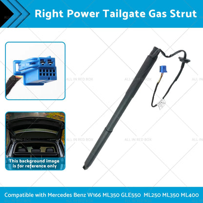 Gas Strut for Mercedes Benz W166 ML350 (2012-2015)
