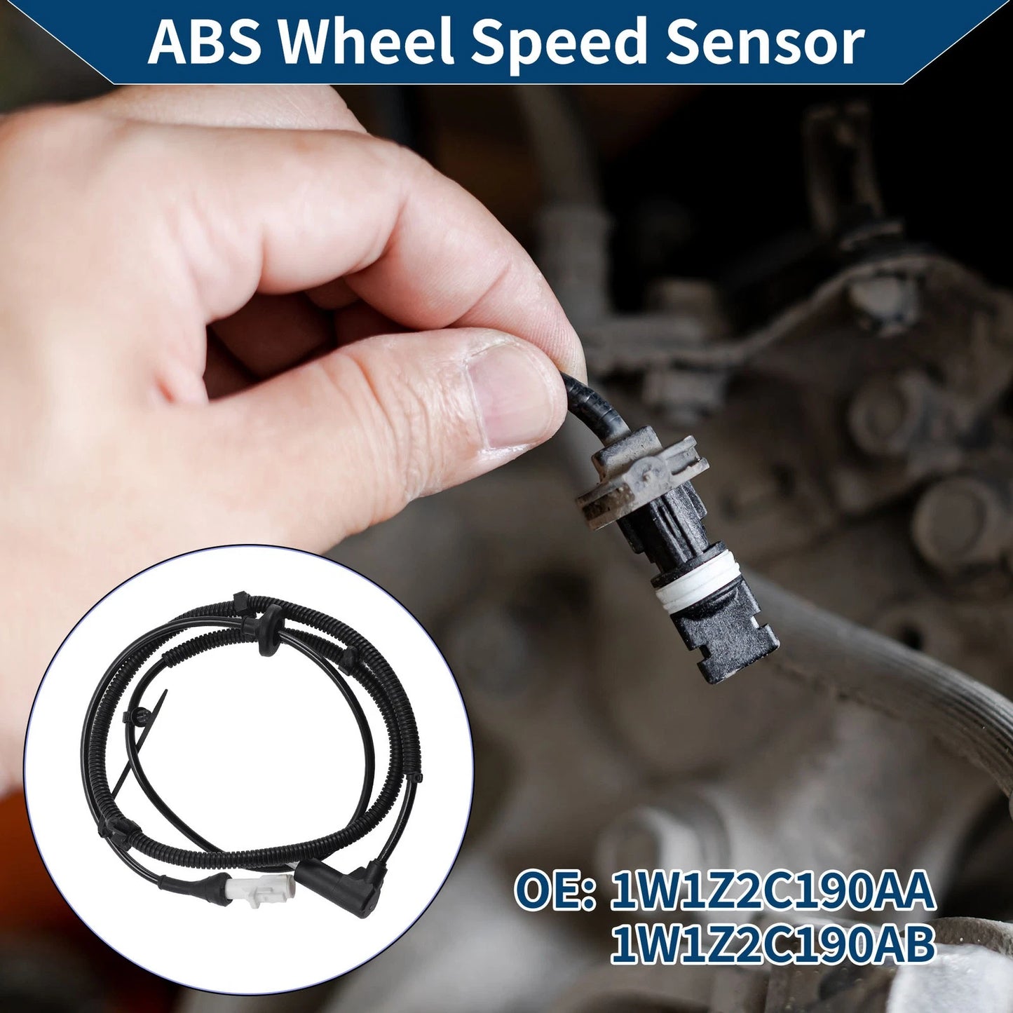 ABS Wheel Speed Sensor for Ford Crown Victoria (2001-2002)