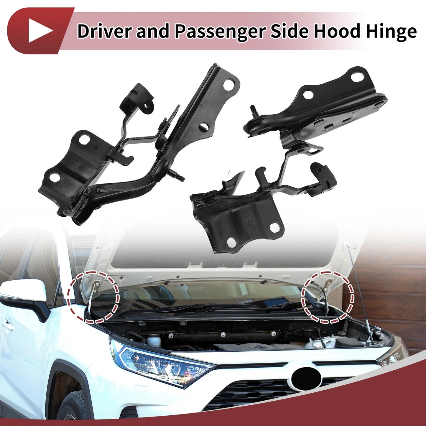 Hood Hinges 1 Pair for Lexus ES300h (2019-2022)
