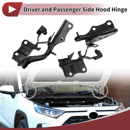 Hood Hinges 1 Pair for Lexus ES300h (2019-2022)