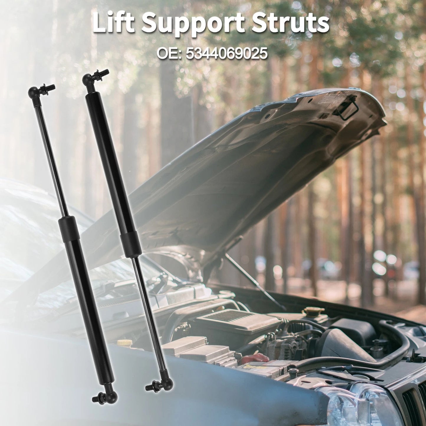 Bonnet Lift Supports 2 x Gas Springs for Toyota Land Cruiser