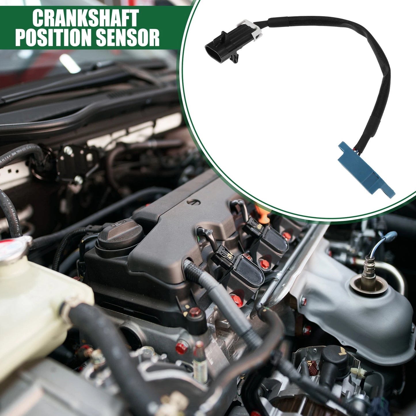 Engine Crankshaft Position Sensor for Buick Century (1997-2005)