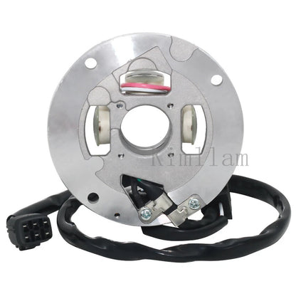 Magneto Stator Coil for Yamaha YZ250 YZ250F (2010-2013)