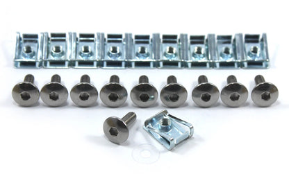 10x SS Fairing Bolts M6 6x20mm Pan Head + Spire Clips