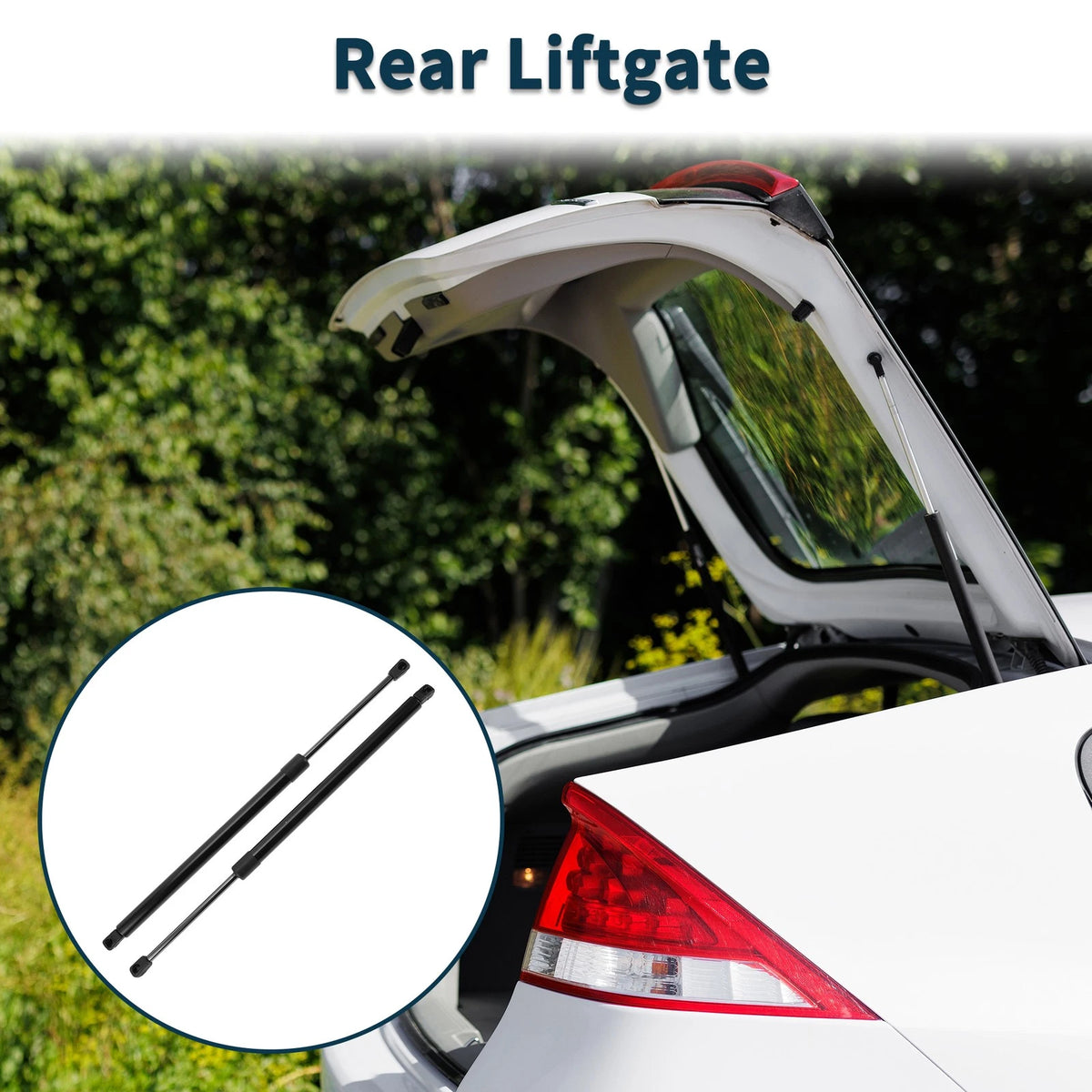 Rear Hatch Lift Supports Struts for Dodge Nitro Sport Utility