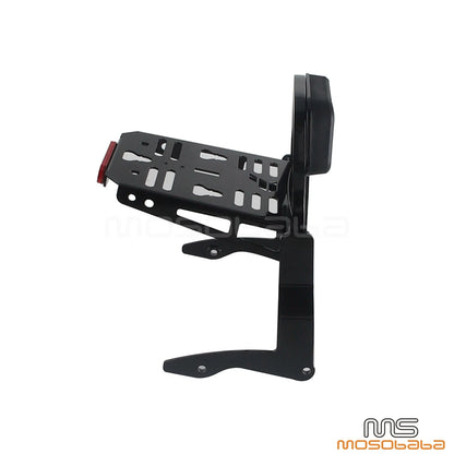 Fixed Sissy Bar for Harley Road Glide Ultra FLTRU CVO/SE FLTRUSE (2015-2019)