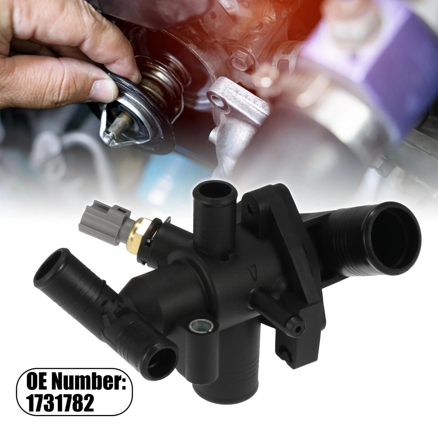 Thermostat Housing Accessory for Ford Transit MK7 MK8 2.2 RWD (2006-2014)