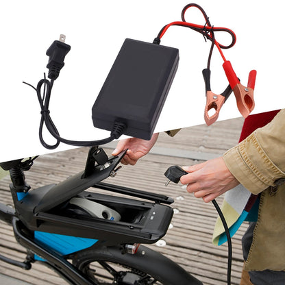 12V Lead-Acid Battery Charger for Various Models