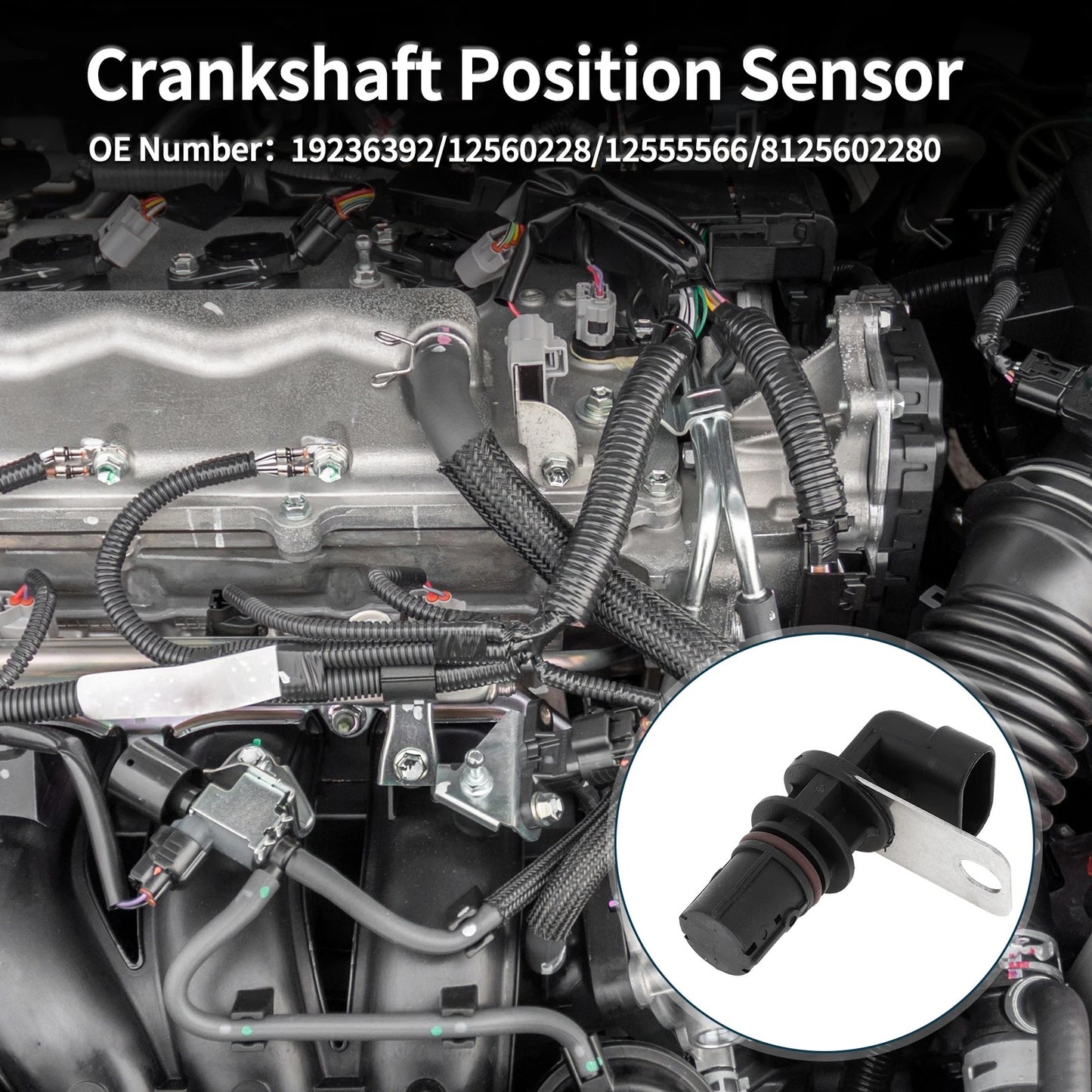4.8L/5.3L Crankshaft Position Sensor for Chevy Silverado 1500 (1999-2005)