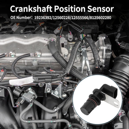 4.8L/5.3L Crankshaft Position Sensor for Chevy Silverado 1500 (1999-2005)