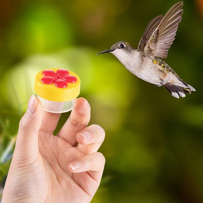 6 x Hummingbird Hand Feeders with 4 Brushes for Easy Feeding