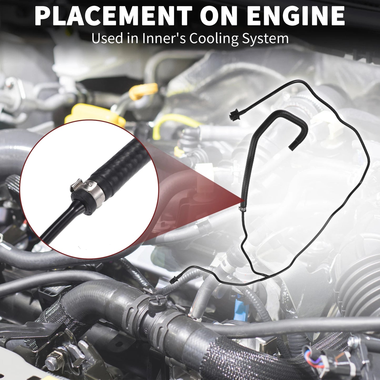 Radiator Hose for Ford Transit Connect 2013-2023 - Durable Black Replacement