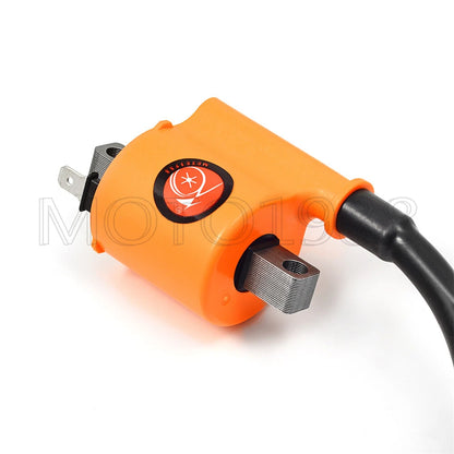 Ignition Coil & Spark Plug W/Cap for Honda Foreman 500 (2014–2018)